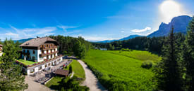 Hotel WALDSEE Hotel WALDSEE